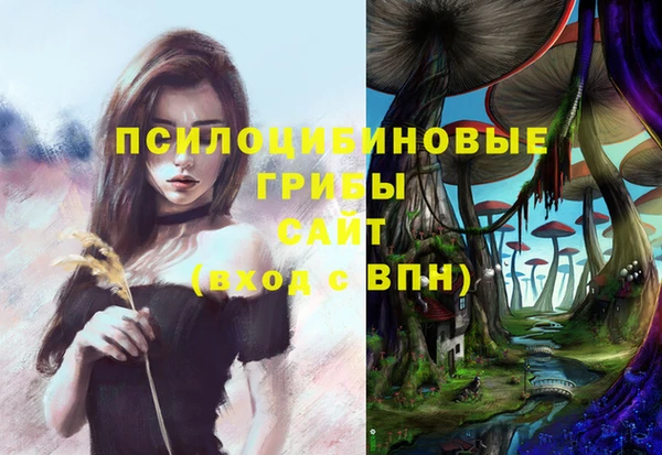 бутират Краснослободск