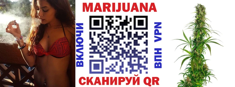 Купить где  Берёзовский  Конопля сатива 